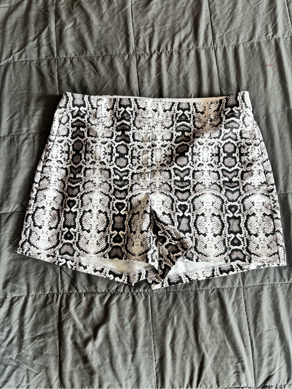 Express Snake-Print Shorts in Black and White